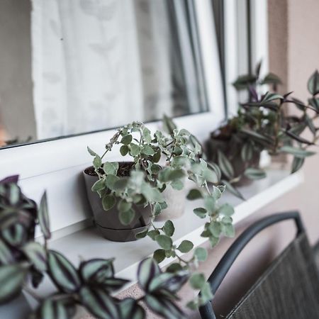 Apartman Centar Doboj Extérieur photo