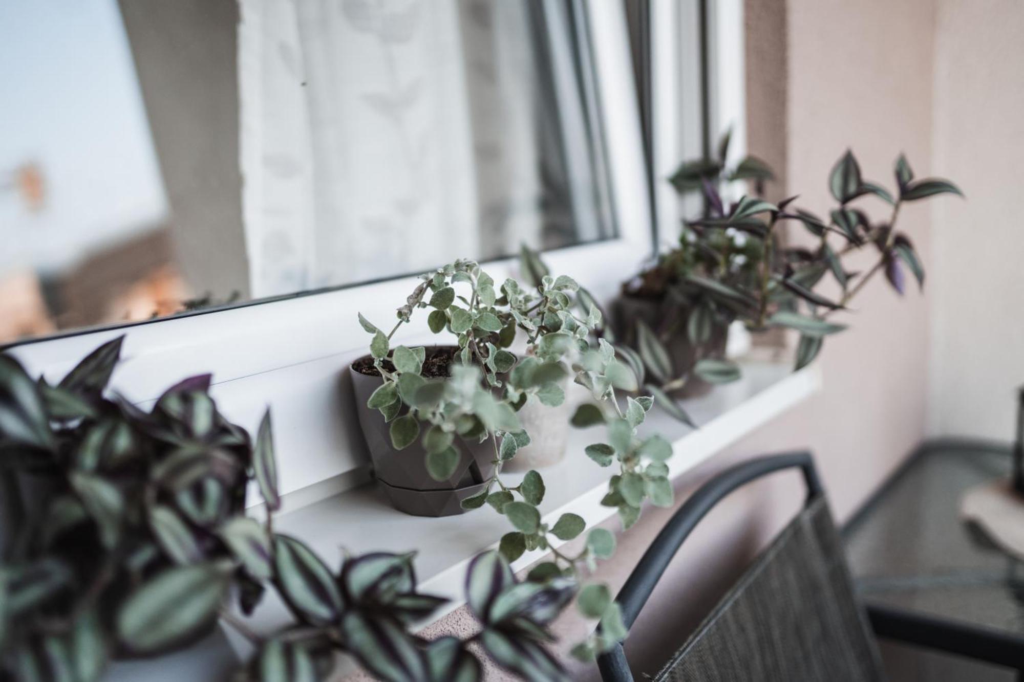 Apartman Centar Doboj Extérieur photo